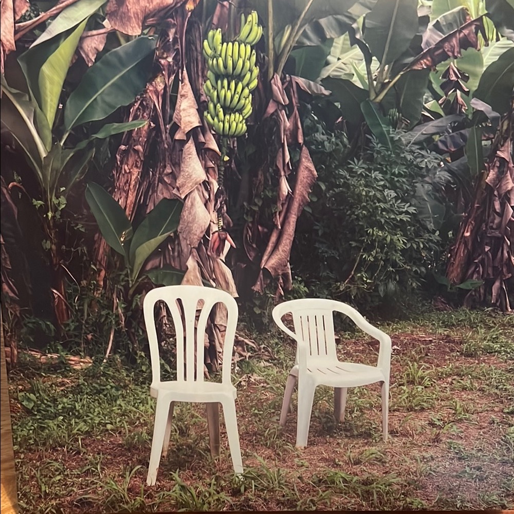 Debí tirar más fotos Bad Bunny 2-album vinyl - DTMF